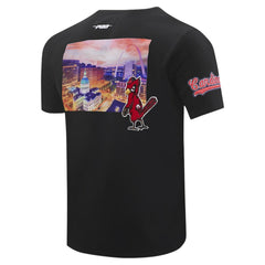 St. Louis Cardinals Pro Standard Cityscape T-Shirt Black
