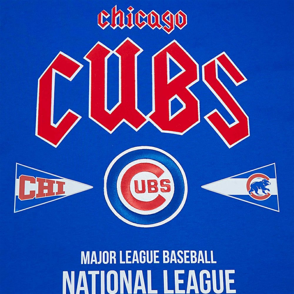 Chicago Cubs Pro Standard Oversized City Tour T-Shirt Royal