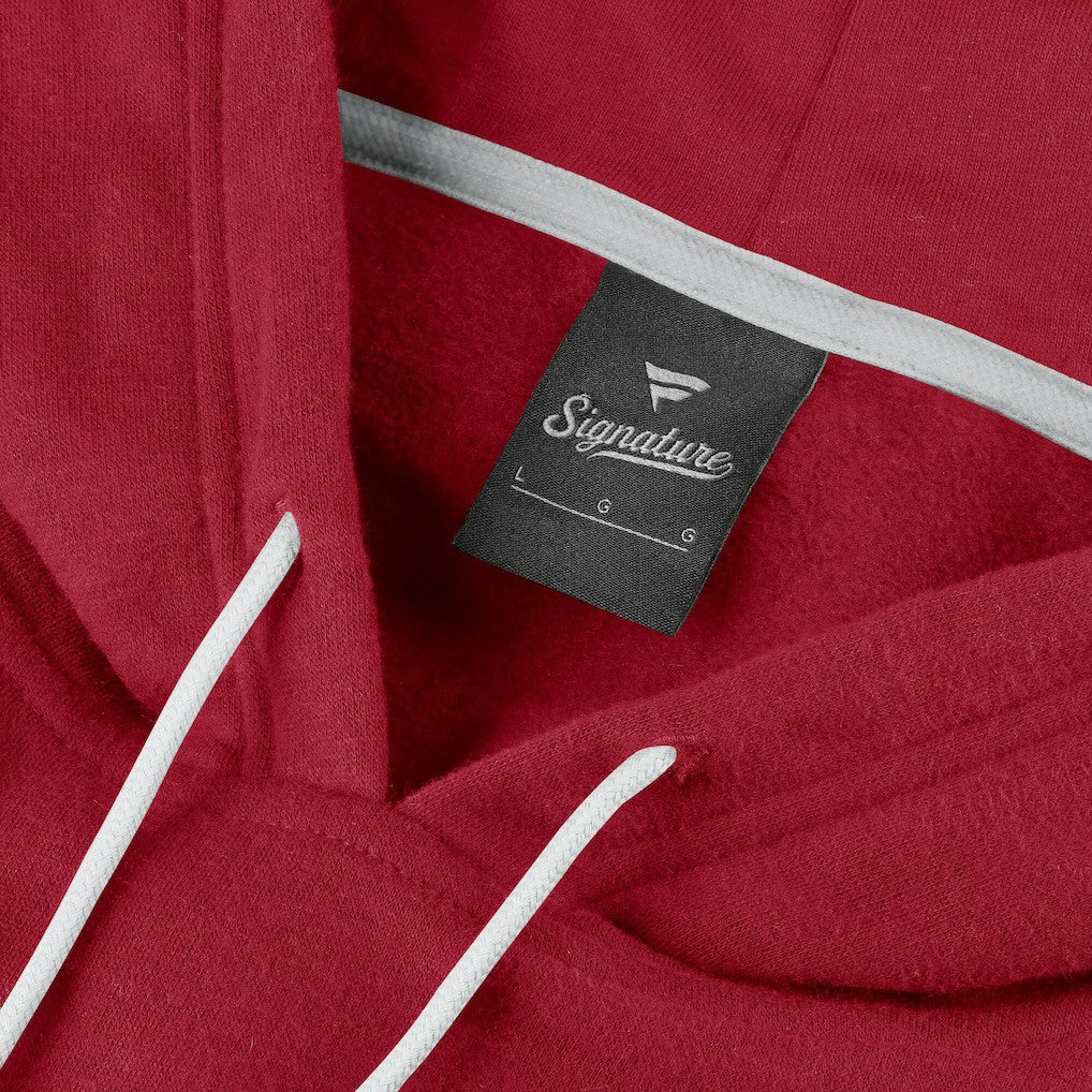 San Francisco 49ers Unisex Sleek Elements Pullover Hoodie - Scarlet cheap