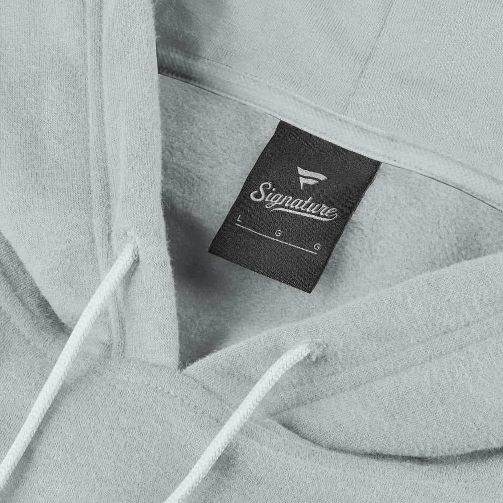 Detroit Lions Unisex Sleek Elements Pullover Hoodie - Gray outlet