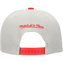 Philadelphia Phillies Knock Out Panel Snapback Hat Gray