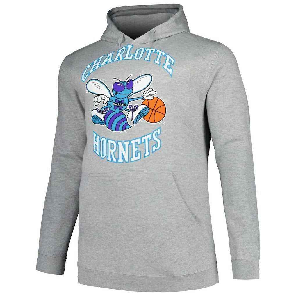 Charlotte Hornets Hardwood Classics Big & Tall Pullover Hoodie - Heather Gray discount