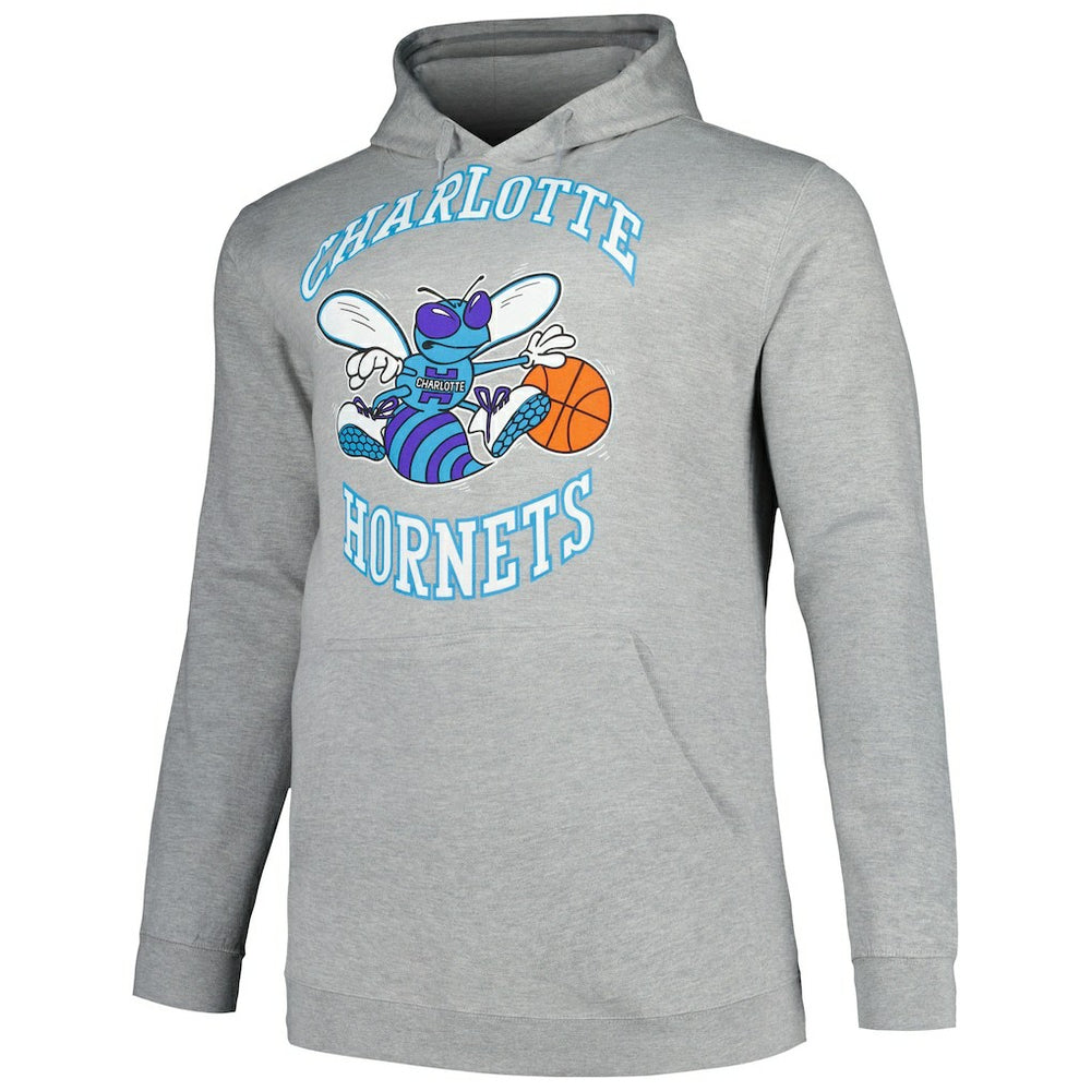 Charlotte Hornets Hardwood Classics Big & Tall Pullover Hoodie - Heather Gray discount