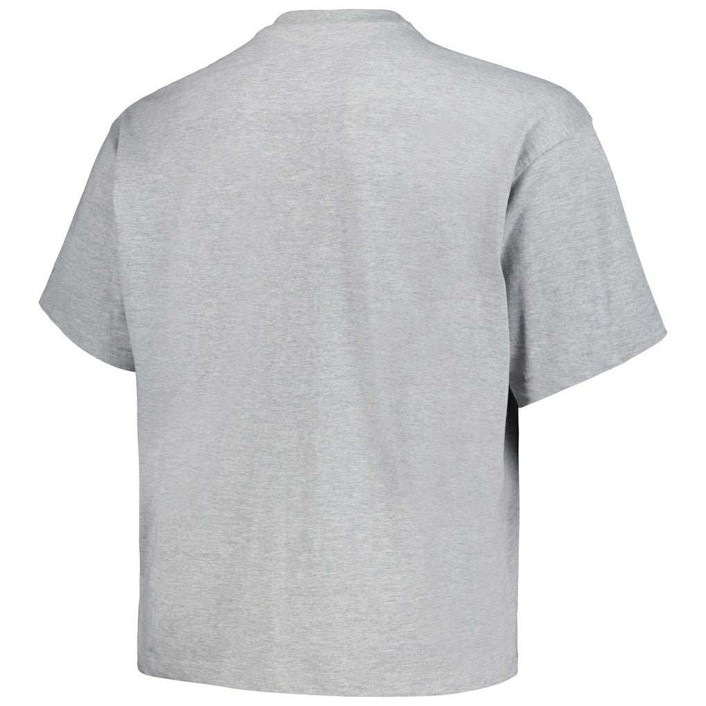Denver Nuggets Big & Tall Hardwood Classics Vintage Logo T-Shirt sale - Heather Gray online