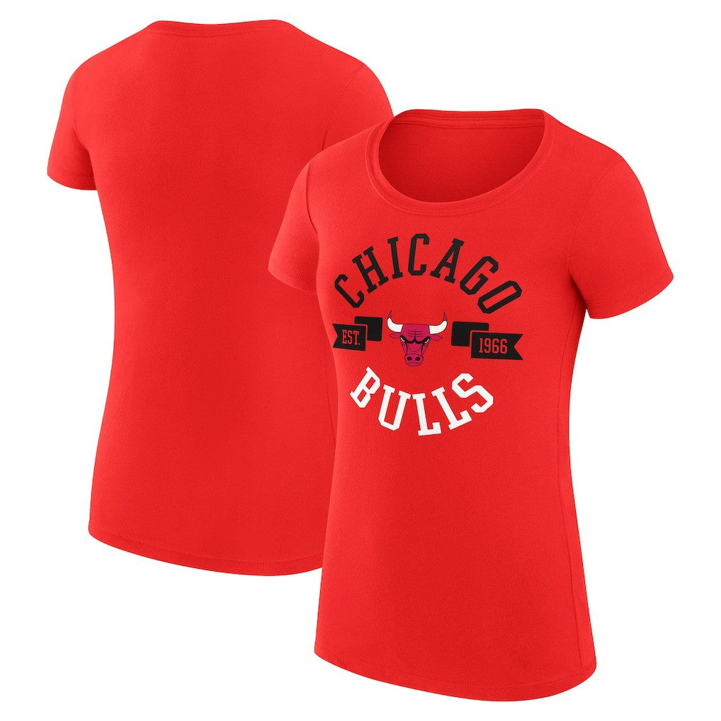 Chicago Bulls G-III 4Her by Carl Banks Women's Super-Slim Fit Lightweight Large City Logo T-Shirt sale - Red on sale