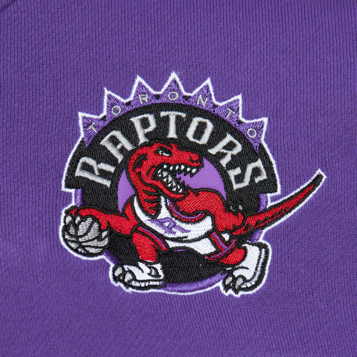 Toronto Raptors Head Coach Pullover Hoodie - Red/Purple for sale