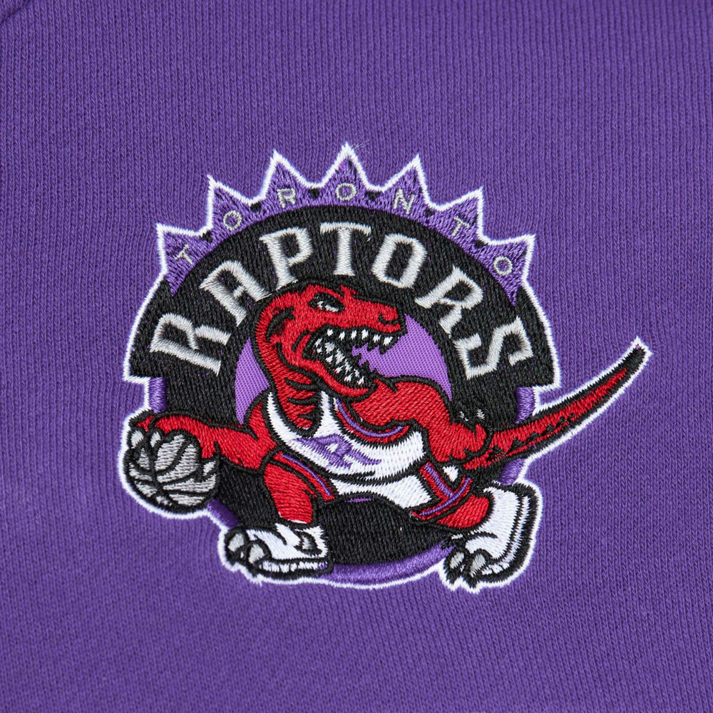 Toronto Raptors Head Coach Pullover Hoodie - Red/Purple for sale