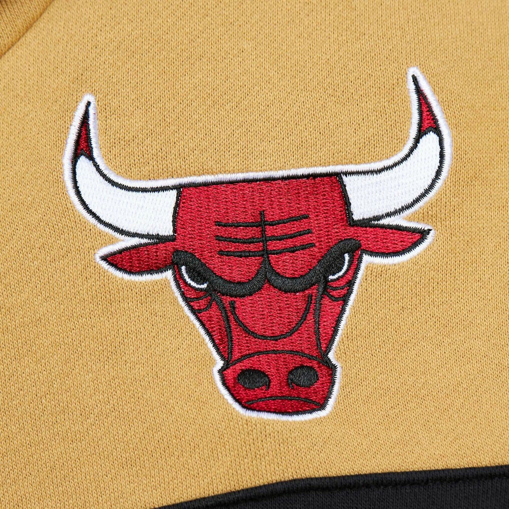 Chicago Bulls Head Coach Pullover Hoodie - Red/Gold for sale