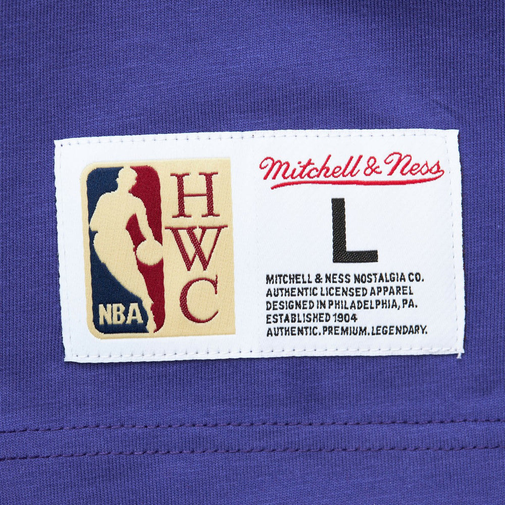 Milwaukee Bucks Hardwood Classics Team OG 2.0 Premium Vintage Logo T-Shirt - Purple for sale