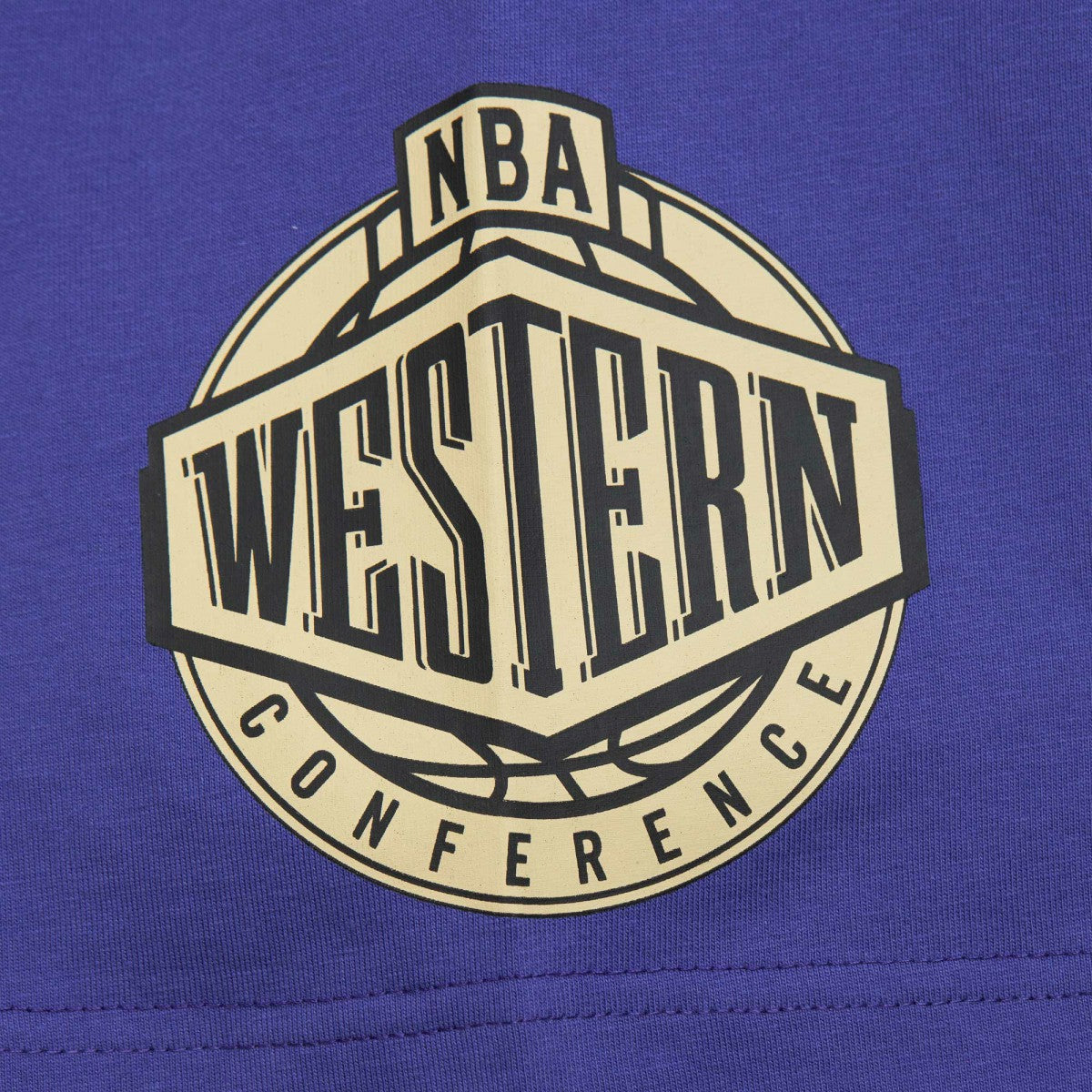 Phoenix Suns Hardwood Classics Team OG 2.0 Premium Vintage Logo T-Shirt - Purple on sale
