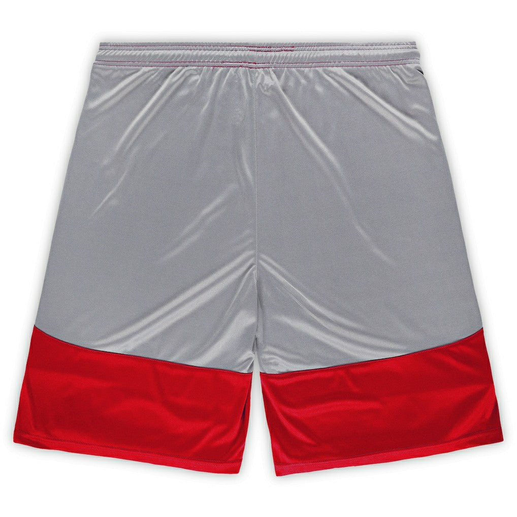 San Francisco 49ers Big & Tall Team Logo Shorts - Scarlet cheap