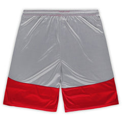 San Francisco 49ers Big & Tall Team Logo Shorts - Scarlet cheap