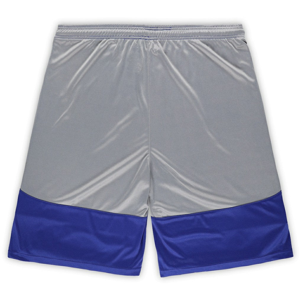 Indianapolis Colts Big & Tall Team Logo Shorts - Royal online