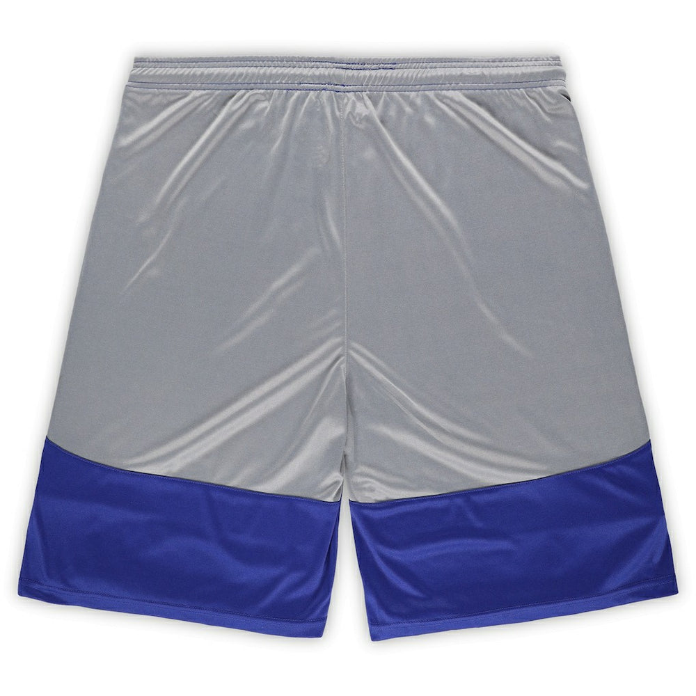 Indianapolis Colts Big & Tall Team Logo Shorts - Royal online