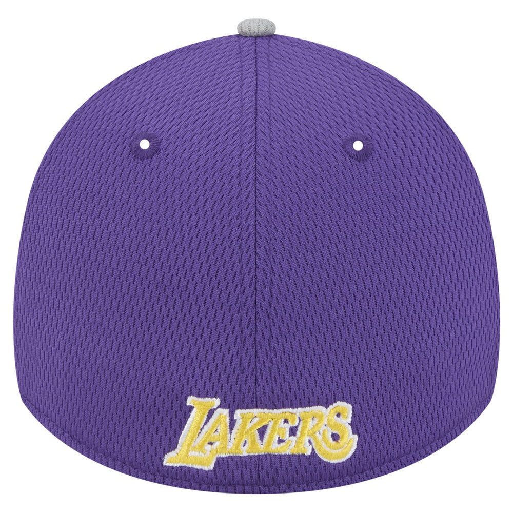 Los Angeles Lakers Active Trim 39THIRTY Flex Hat - Gray/Purple sale