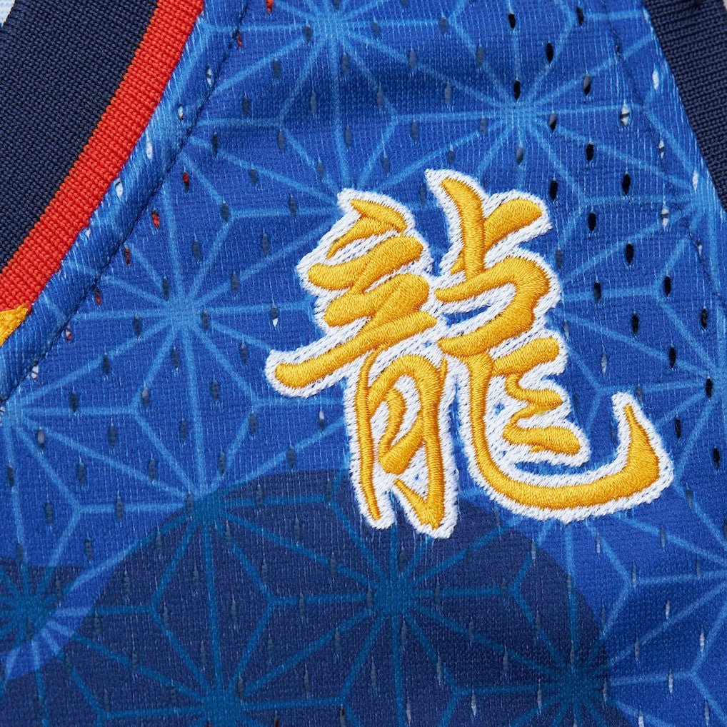 Baron Davis Golden State Warriors 2006/07 Hardwood Classics Asian Heritage 6.0 Swingman Throwback Player Jersey sale - Royal online