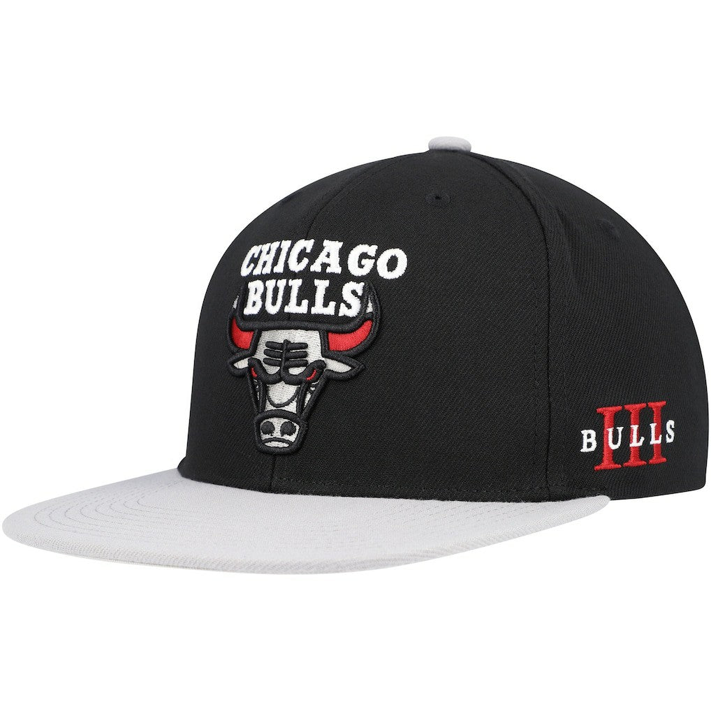 Chicago Bulls Core Snapback Hat - Black/Gray cheap
