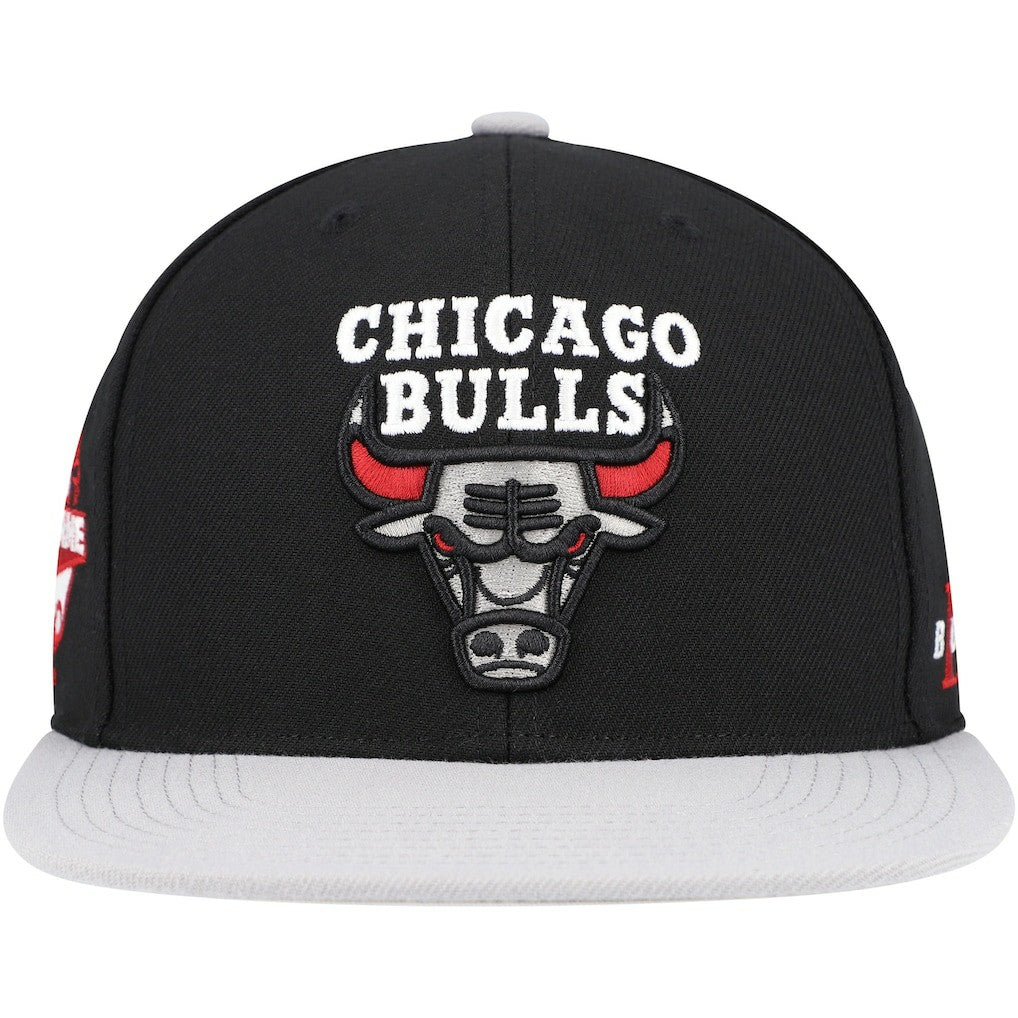 Chicago Bulls Core Snapback Hat - Black/Gray cheap