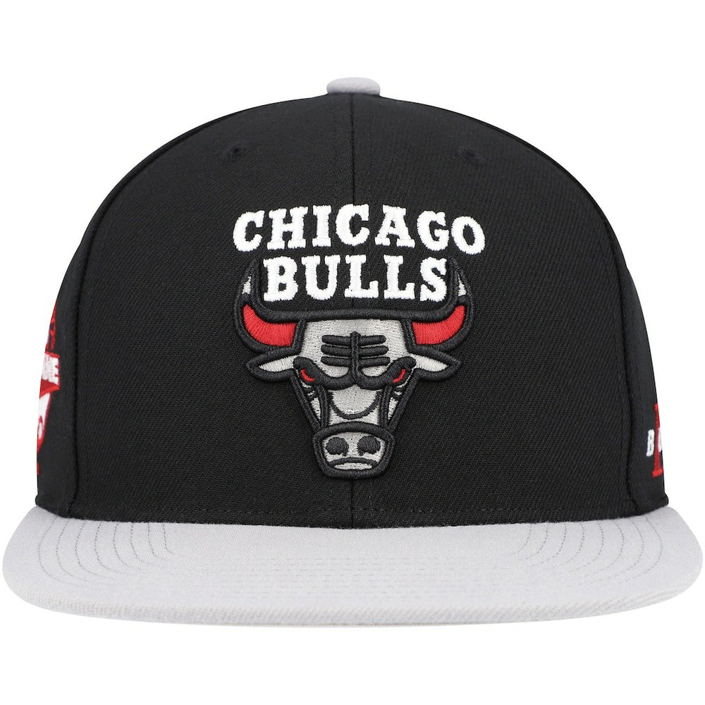 Chicago Bulls Core Snapback Hat - Black/Gray cheap