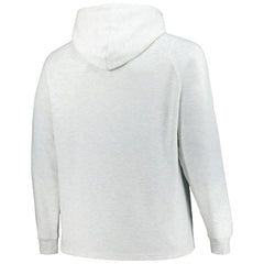 Golden State Warriors Big & Tall Raglan Tri-Blend Pullover Hoodie sale - Ash cheap