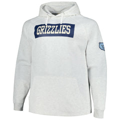 Memphis Grizzlies Big & Tall Raglan Tri-Blend Pullover Hoodie - Ash online