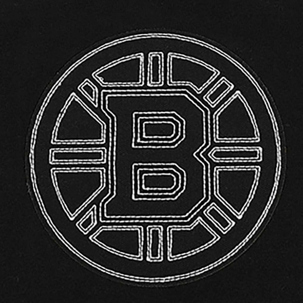Boston Bruins Pro Standard Paint the City Pullover Hoodie - Black Hoodies
