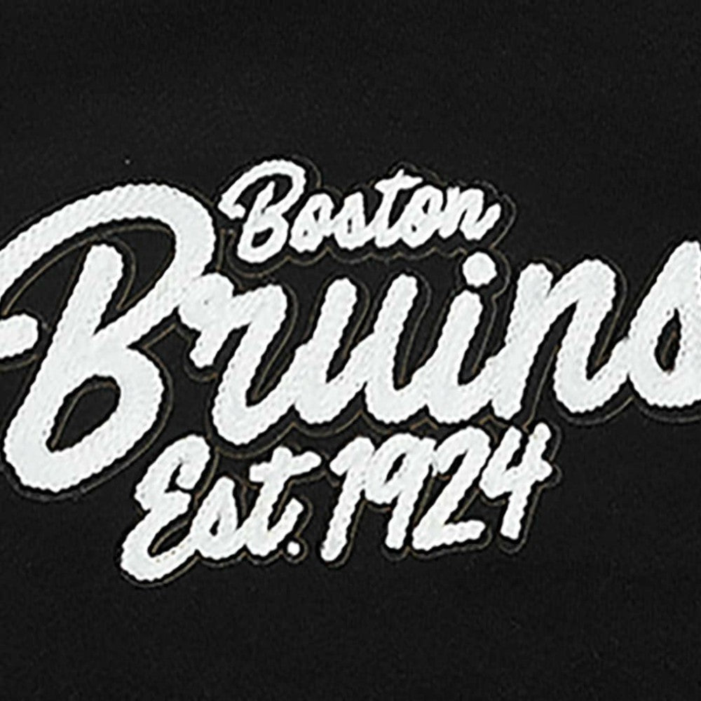 Boston Bruins Pro Standard Paint the City Pullover Hoodie - Black Hoodies