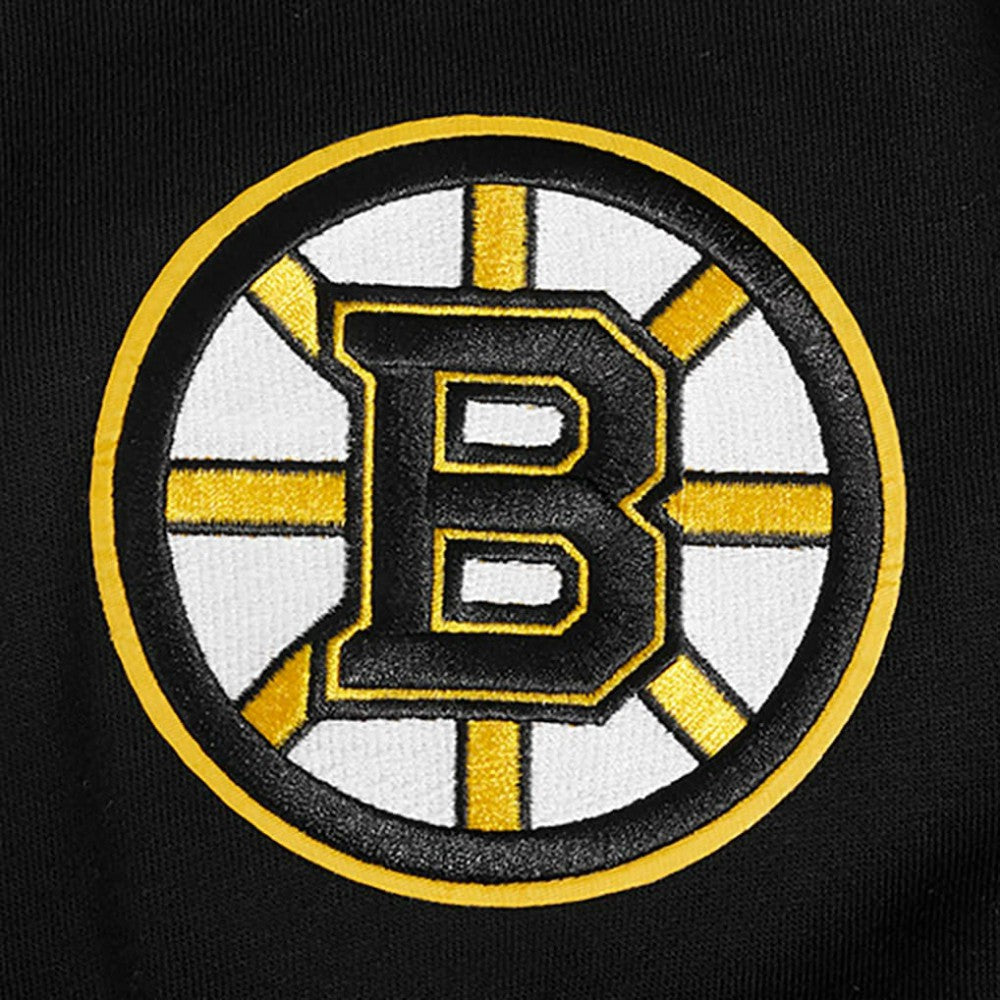 Boston Bruins Pro Standard Paint the City Pullover Hoodie - Black Hoodies