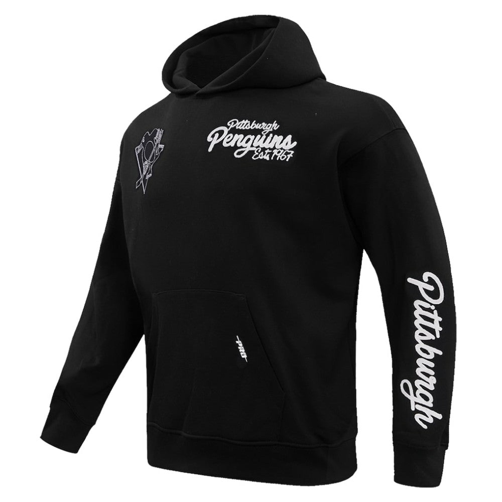 Pittsburgh Penguins Pro Standard Paint the City Pullover Hoodie - Black Hoodies