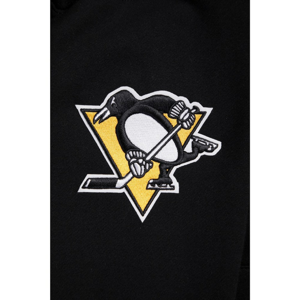 Pittsburgh Penguins Pro Standard Paint the City Pullover Hoodie - Black Hoodies