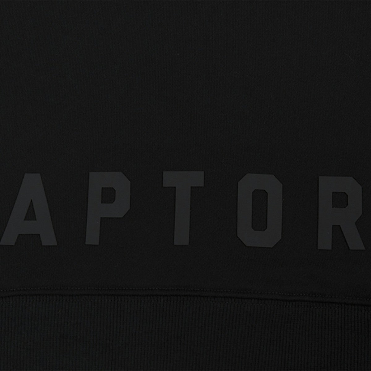 Toronto Raptors Pro Standard Women's Jewels Cropped Pullover Hoodie - Black discount