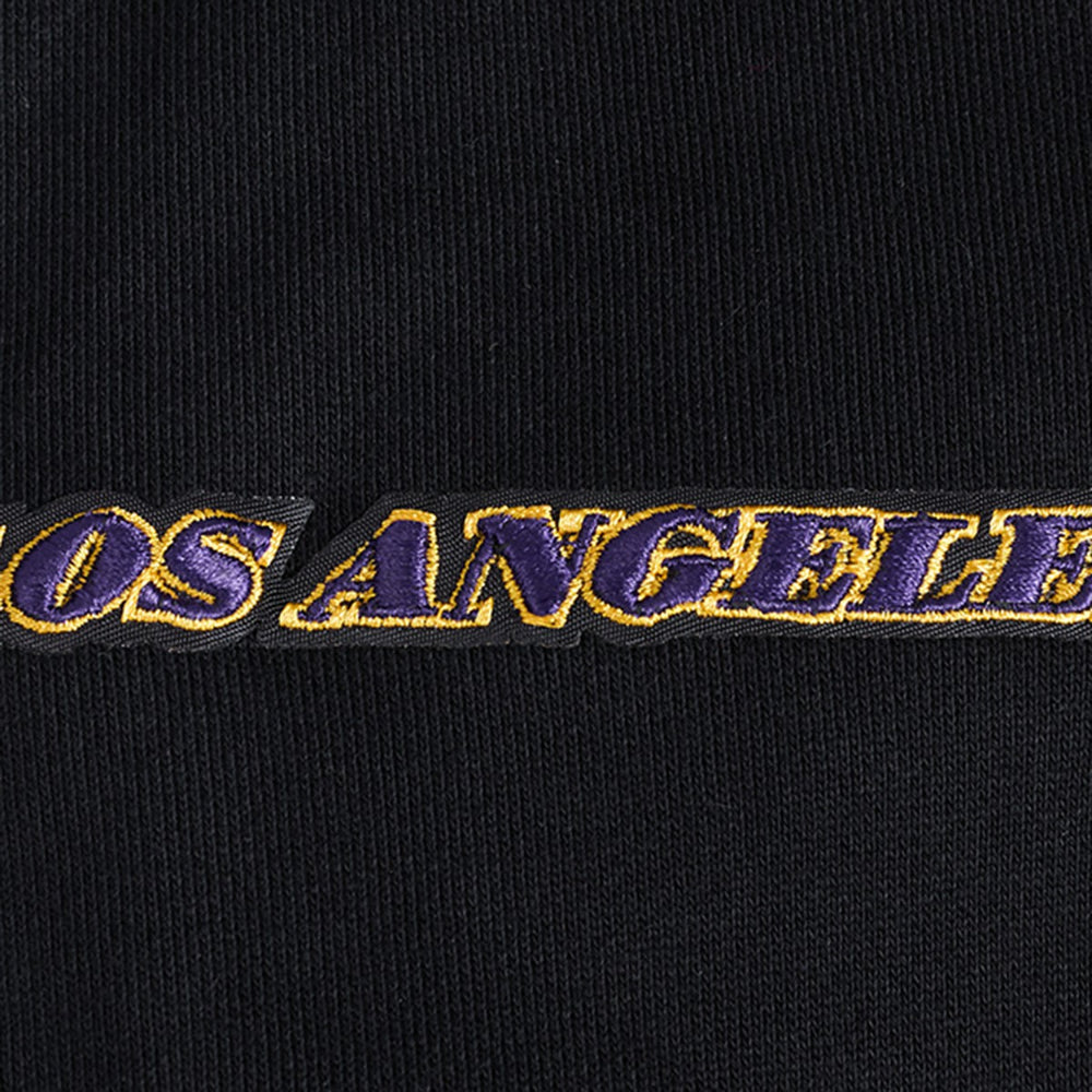 Los Angeles Lakers Pro Standard Area Code Pullover Hoodie - Black sale