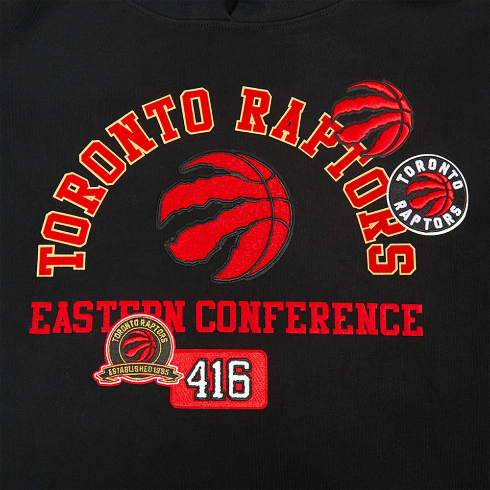Toronto Raptors Pro Standard Area Code Pullover Hoodie - Black for sale