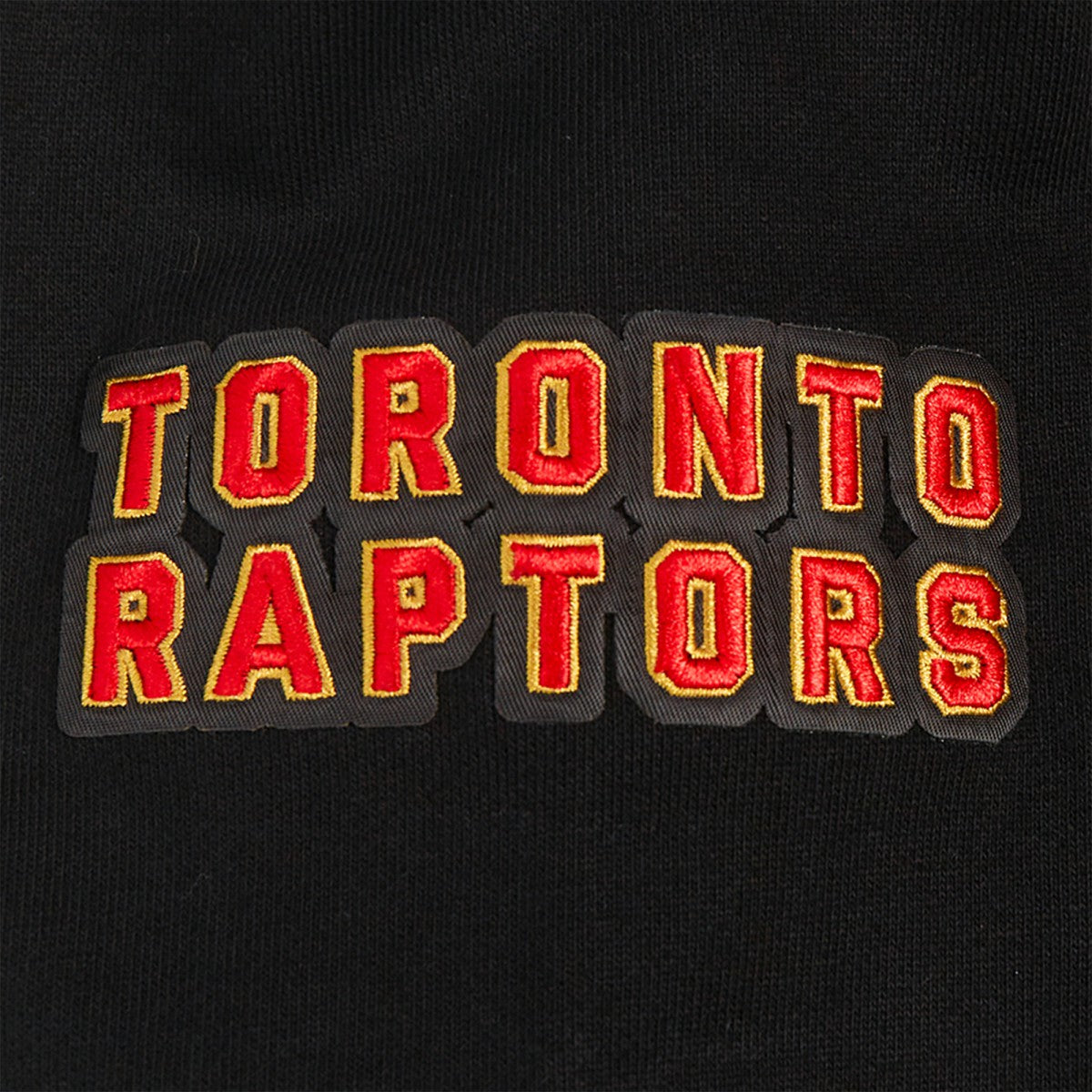 Toronto Raptors Pro Standard Area Code Pullover Hoodie - Black for sale