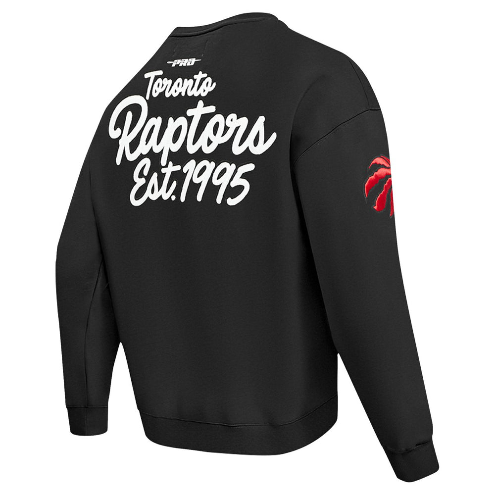 Toronto Raptors Pro Standard Paint the City Drop Shoulder Sweatshirt - Black for sale