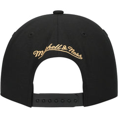 Florida Panthers Mitchell & Ness Core Team Script 2.0 Snapback Hat - Black Hats