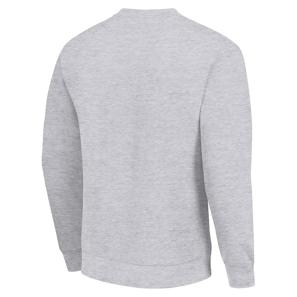 Washington Commanders Starter Team Mesh Print Graphic Pullover Sweatshirt - Heather Gray outlet