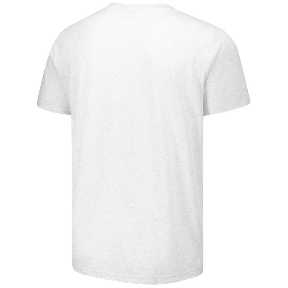 Boston Red Sox Homage Grateful Dead Tri-Blend T-Shirt Ash