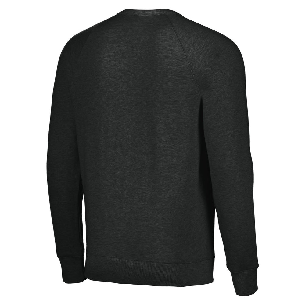 Houston Texans Homage Unisex Color Rush Crest Tri-Blend Pullover Sweatshirt - Charcoal on sale