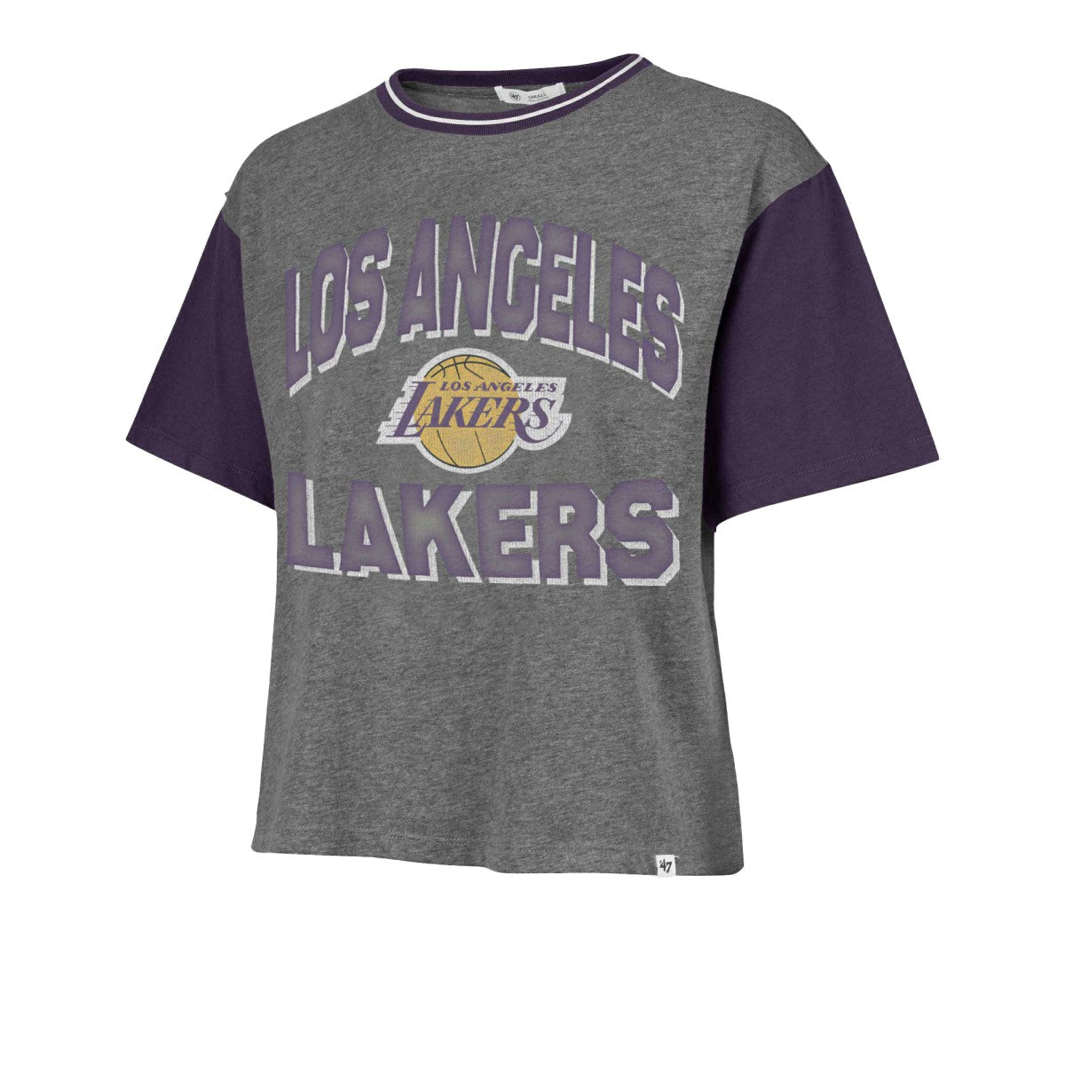 Los Angeles Lakers '47 Women's Rise Clubhouse Ziggy Color Block T-Shirt - Gray shop