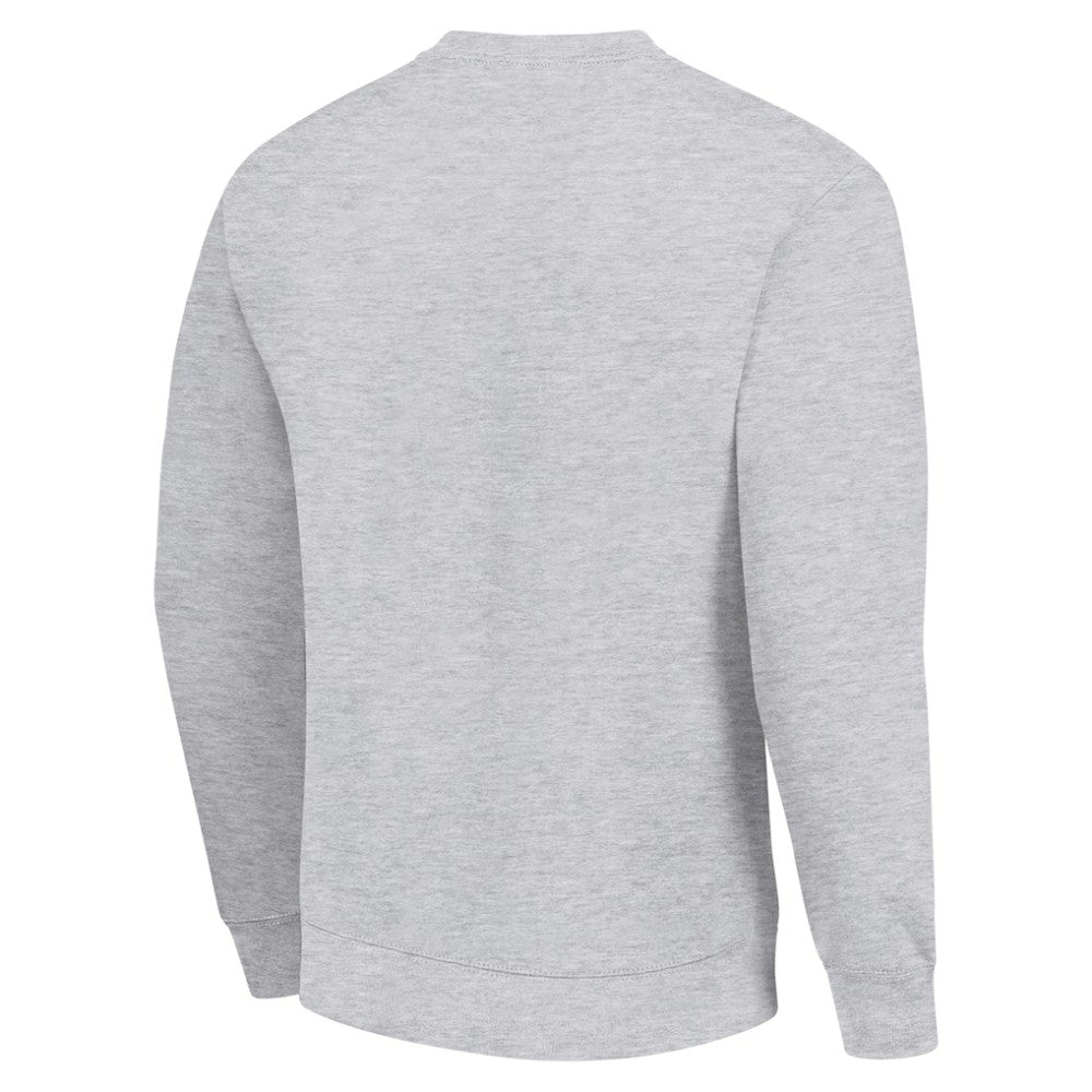 San Jose Sharks Starter Player Grid Fleece Pullover Sweatshirt - Heather Gray Sweatshirts