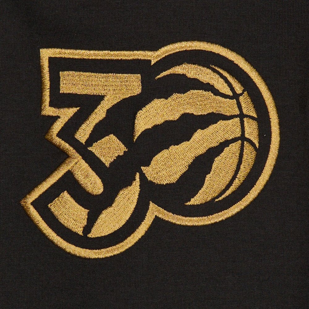 Toronto Raptors 2024/25 City Edition Chenille Heavyweight Pullover Hoodie - Black online