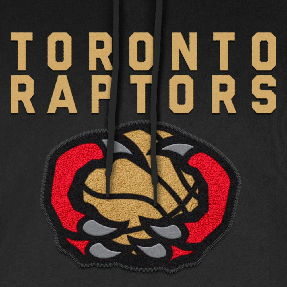 Toronto Raptors 2024/25 City Edition Chenille Heavyweight Pullover Hoodie - Black online