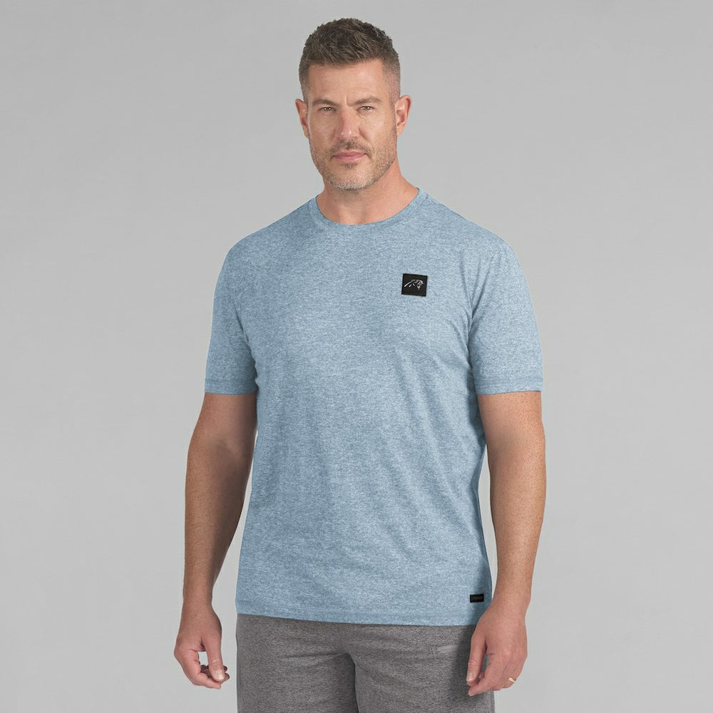 Carolina Panthers J. Palmer Four Down T-Shirt - Blue for sale