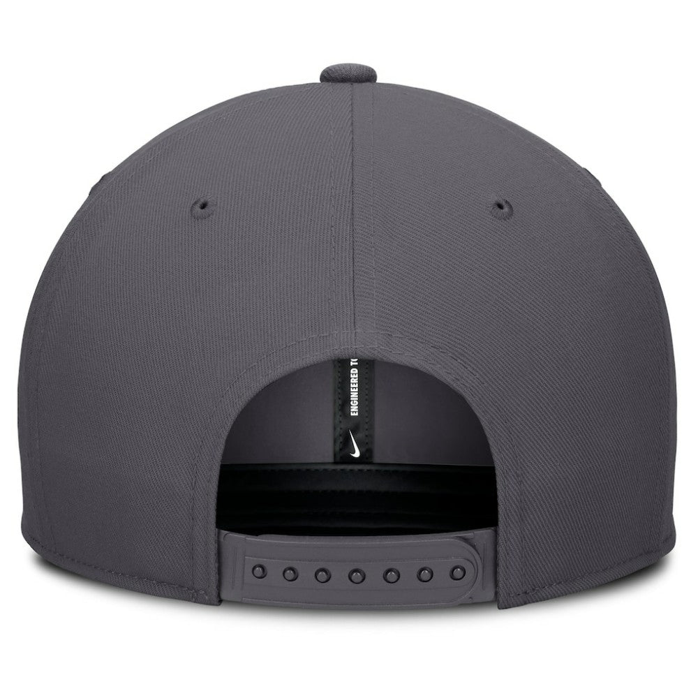 Tampa Bay Rays Pro Performance Snapback Hat Gray