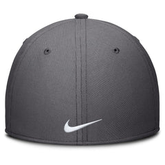 Houston Astros Swoosh Performance Flex Hat Charcoal