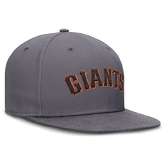 San Francisco Giants Performance True Fitted Hat Gray