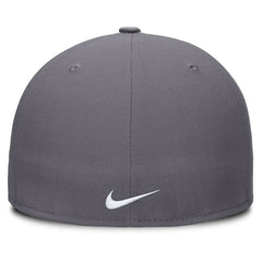 San Francisco Giants Performance True Fitted Hat Gray