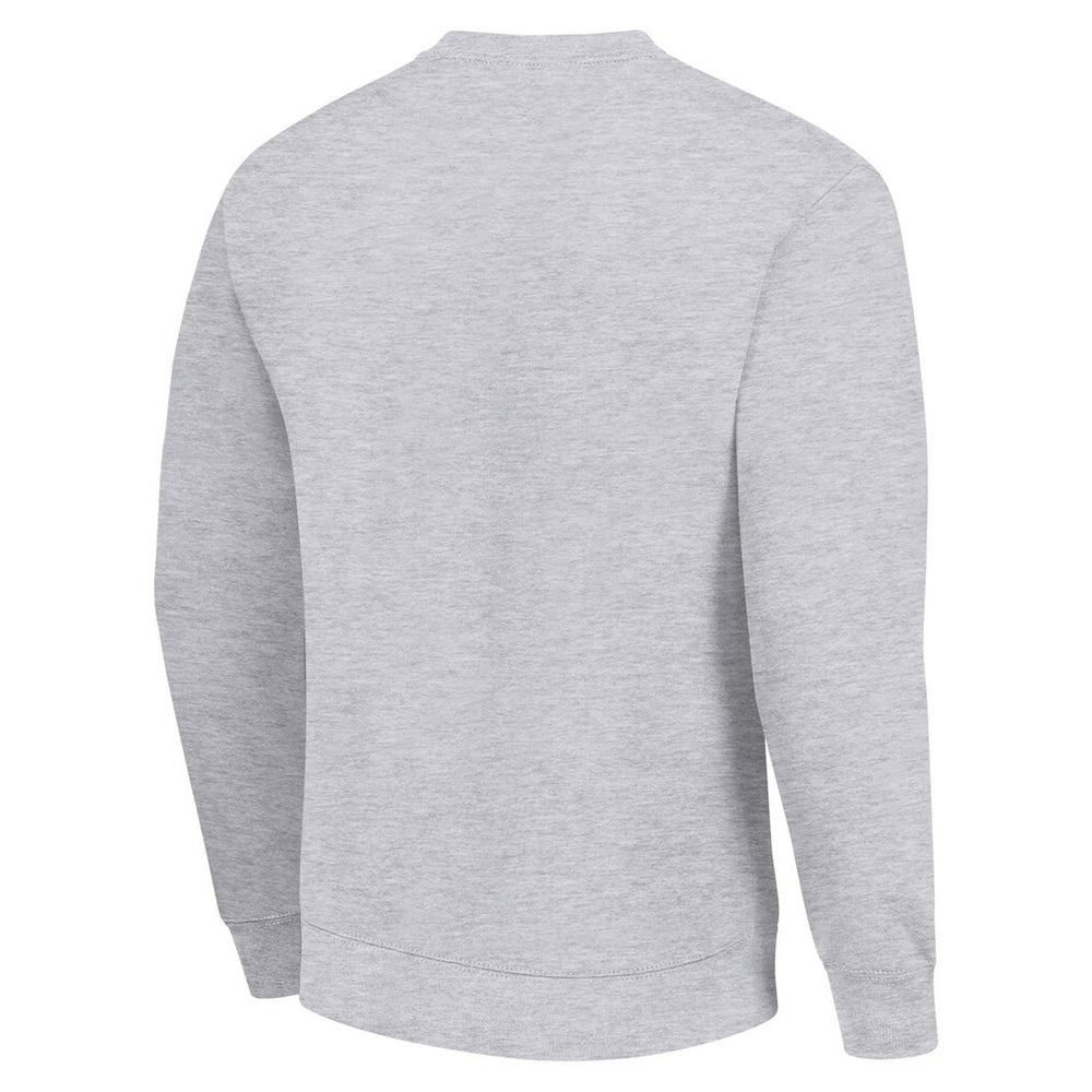 Pittsburgh Steelers Starter Half Helmet Team Graphic Tri-Blend Fleece Pullover Sweatshirt - Heather Gray outlet