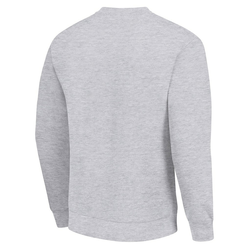Buffalo Bills Starter Color Scratch Team Graphic Fleece Pullover Sweatshirt - Heather Gray online